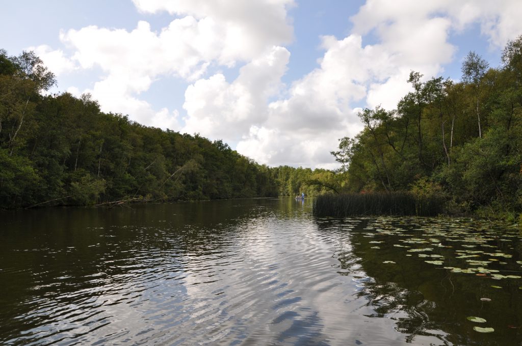 Urlaub auf dem Hausboot - Mecklenburgische Seenplatte