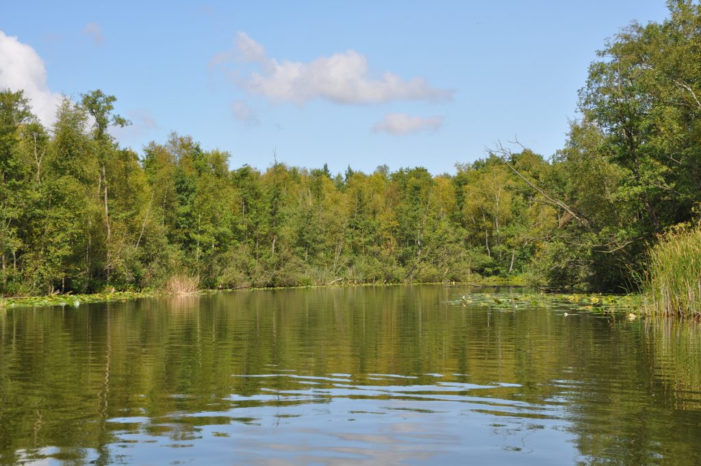 Urlaub auf dem Hausboot - Mecklenburgische Seenplatte