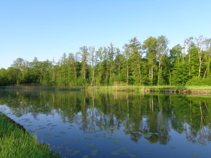 Hausbooturlaub in Niderviller - Kormoran Kuhnle-Tours - Törnbericht