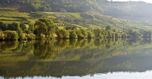 Mosel grund 6